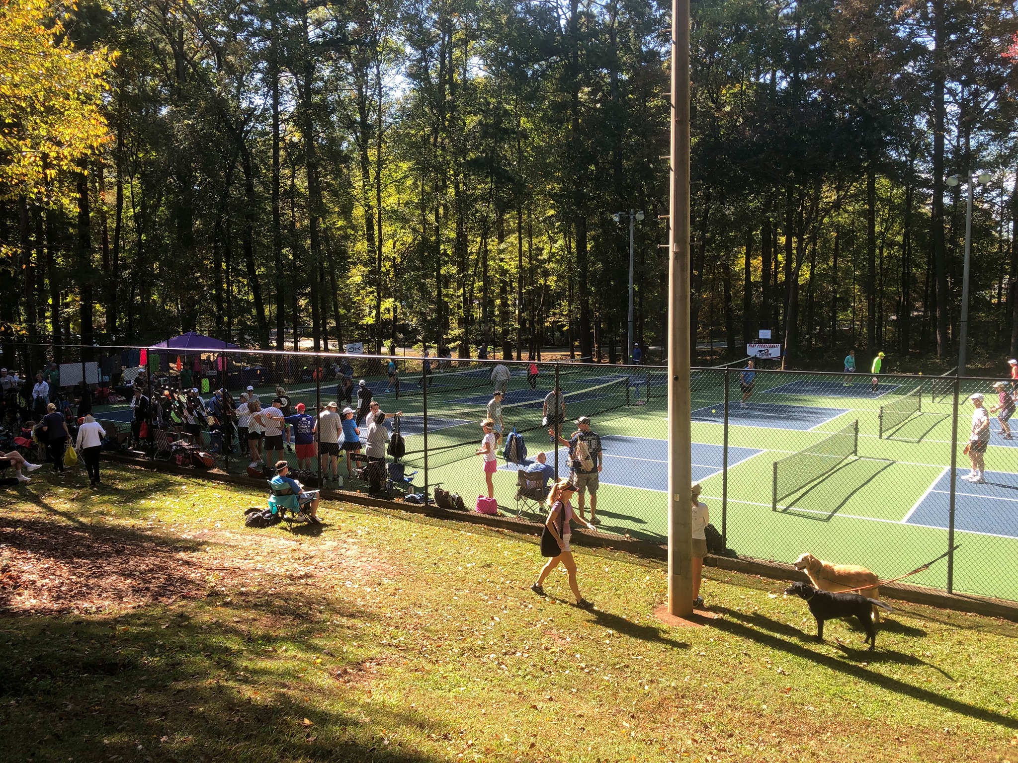 Shaw Park Pickleball